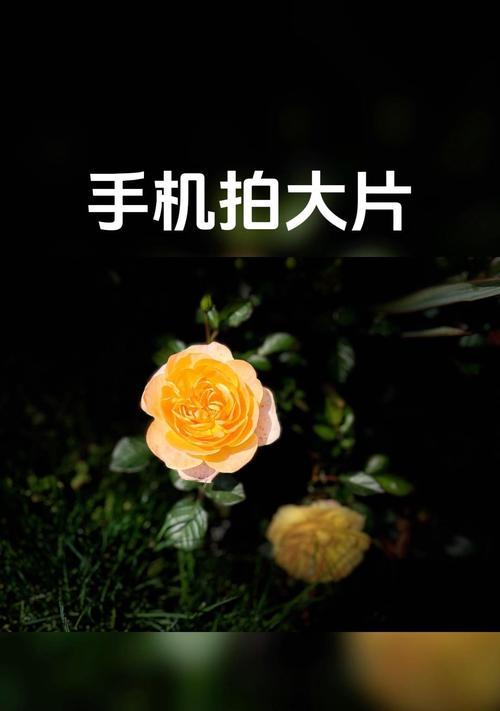 小米手机如何设置背景虚化效果？  第1张