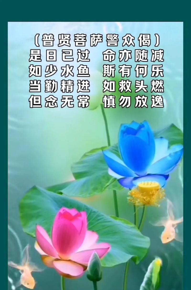 念名字送苹果手机是什么意思？这种活动背后有何含义？  第2张