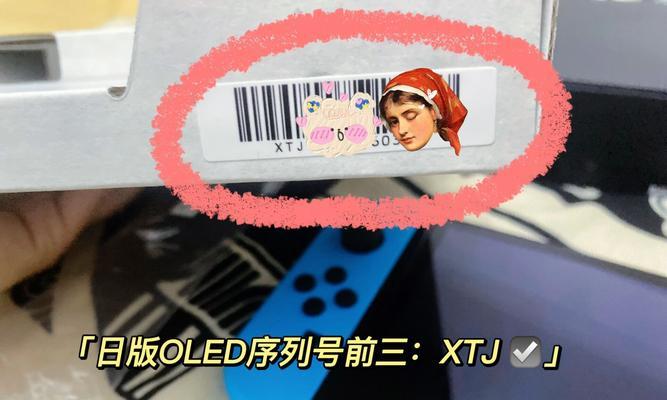 switch日行版本如何进行验机？验机过程中需要注意什么？  第1张