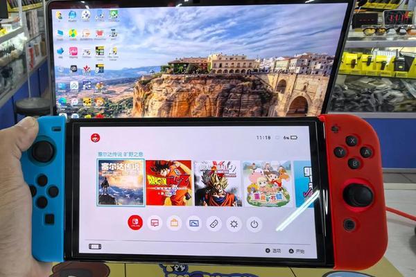 switch日行版本如何进行验机？验机过程中需要注意什么？  第2张