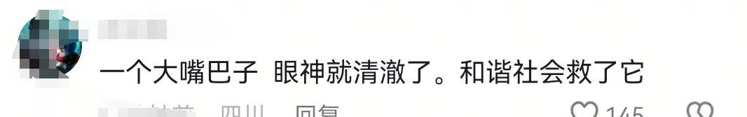 太狂了！女子凌晨5点火车上唱歌跳舞，面对劝阻反怼:有钱买卧铺去  第9张