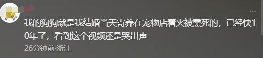 宠物店火灾监控曝光，店长冒死救生感动全网：没人比我更知道位置  第4张
