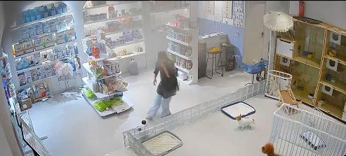宠物店火灾监控曝光，店长冒死救生感动全网：没人比我更知道位置  第8张