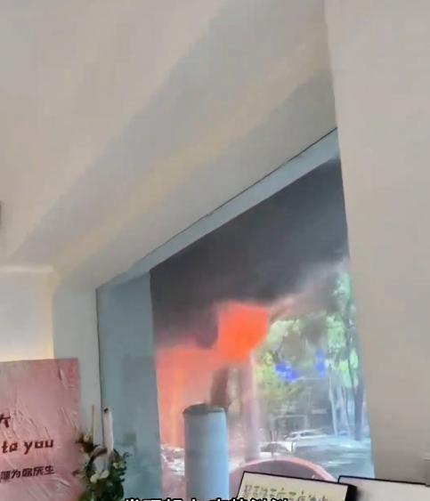 宠物店火灾监控曝光，店长冒死救生感动全网：没人比我更知道位置  第7张