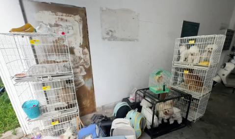 宠物店火灾监控曝光，店长冒死救生感动全网：没人比我更知道位置  第9张