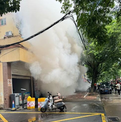 宠物店火灾监控曝光，店长冒死救生感动全网：没人比我更知道位置  第21张