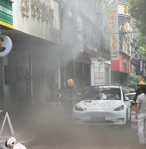 宠物店火灾监控曝光，店长冒死救生感动全网：没人比我更知道位置  第19张