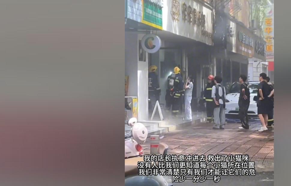 宠物店火灾监控曝光，店长冒死救生感动全网：没人比我更知道位置  第26张