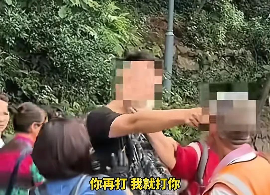 你再打猴我打你！保洁大爷驱赶猴子被一南京游客辱骂，公园回应  第2张