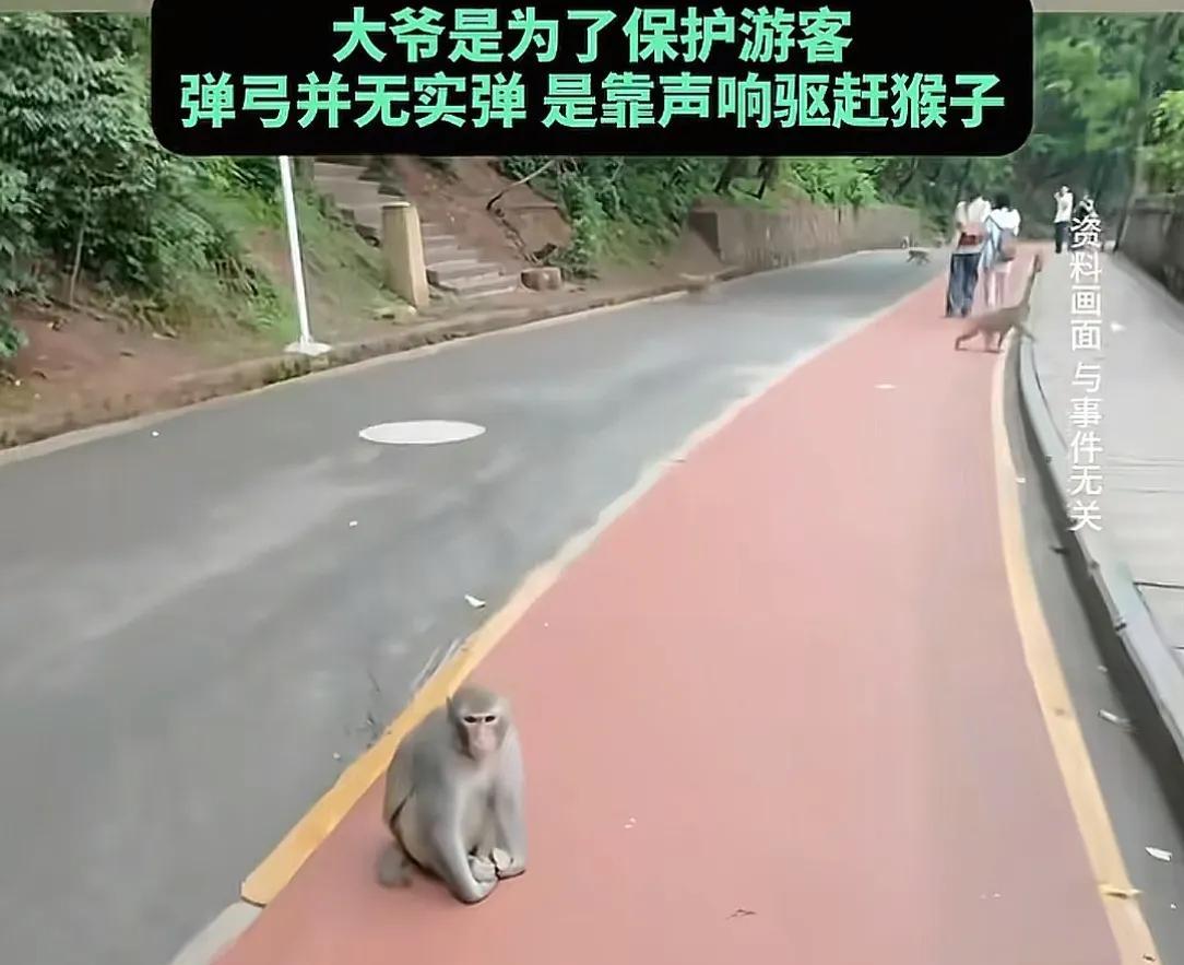你再打猴我打你！保洁大爷驱赶猴子被一南京游客辱骂，公园回应  第5张