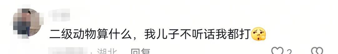 你再打猴我打你！保洁大爷驱赶猴子被一南京游客辱骂，公园回应  第6张