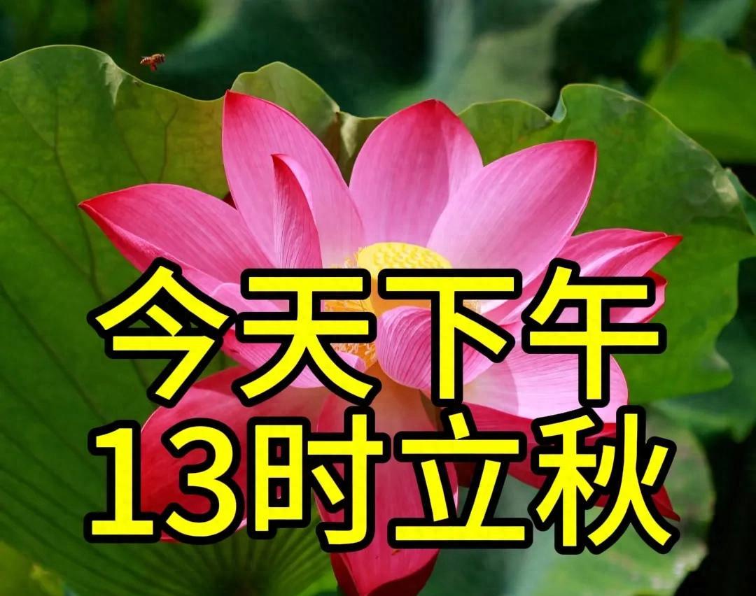 不是迷信！今天13时立秋，“最旺”自己的5件事，别忘告诉身边人  第1张