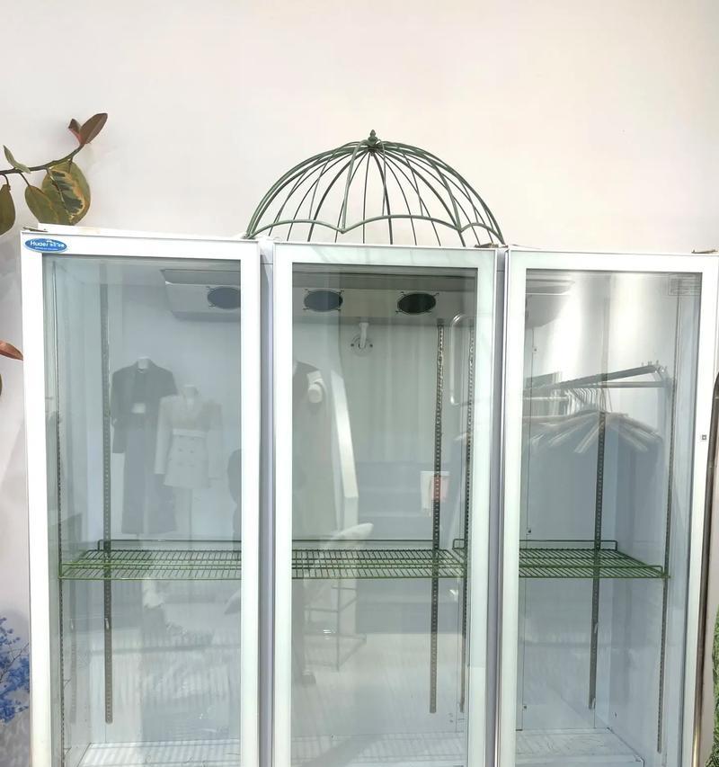 鲜花收纳的新选择——冰柜鲜花收纳方法（保鲜效果更佳，让鲜花长久美丽不凋谢）  第2张