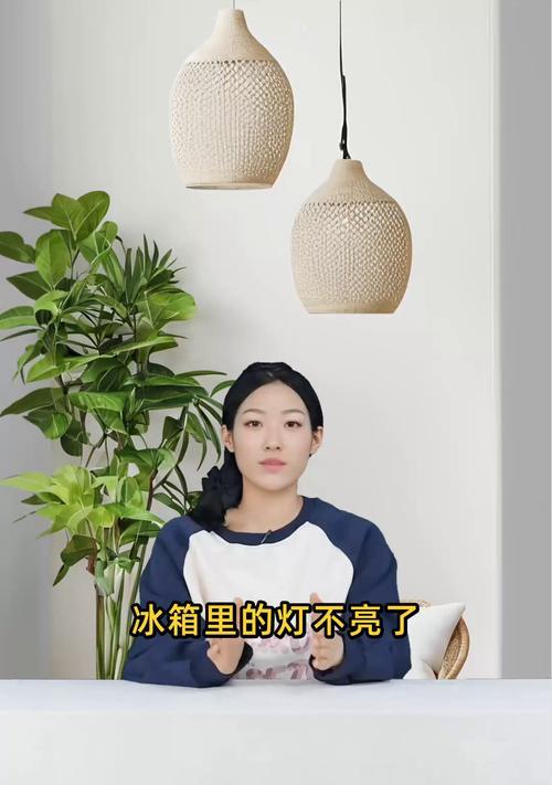 冰箱灯不亮了，如何解决？（了解原因，修复问题，保证食物安全）  第2张
