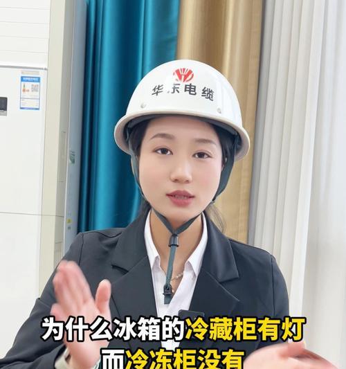 冰箱灯不亮了，如何解决？（了解原因，修复问题，保证食物安全）  第3张