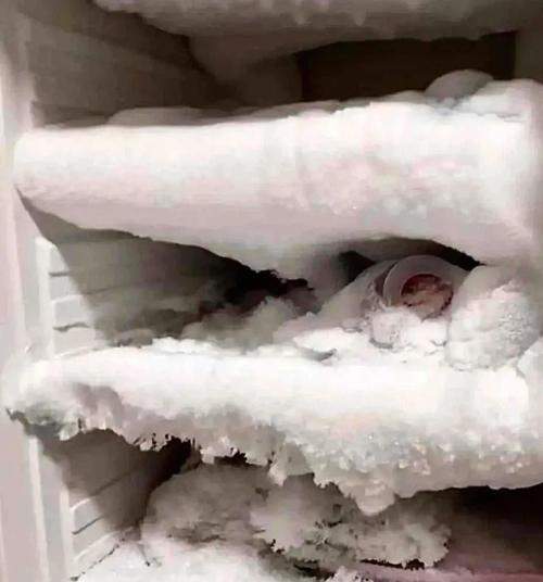 低温冰箱不制冷，应对措施及故障排除方法（解决低温冰箱不制冷的实用技巧和方法）  第3张