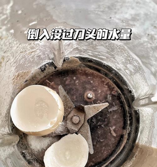 破壁机胡底的处理方法及技巧（了解破壁机胡底的原因及解决方案）  第2张