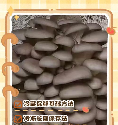 如何正确储存蘑菇以保持其新鲜度（冰箱储存技巧揭秘）  第1张