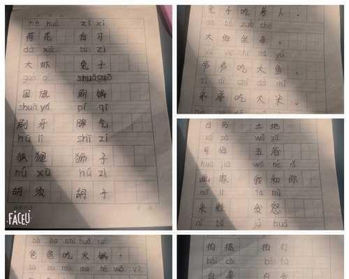 电脑输入以旅的拼音怎么办（解决电脑无法识别以旅拼音输入的问题）  第2张