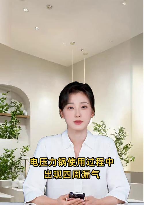 高压锅漏气的原因及应对方法（揭秘高压锅漏气的真相）  第1张