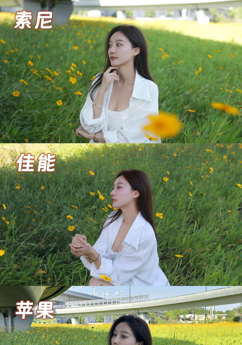 相机拍摄的照片必须要修图吗？修图对照片质量有何影响？  第2张