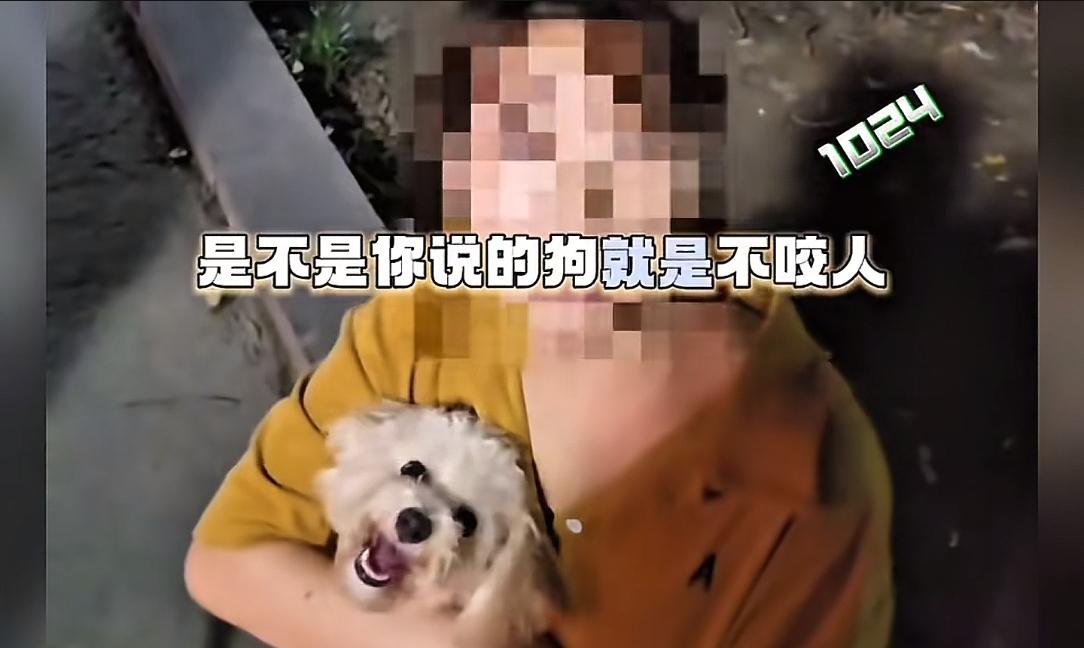 未牵绳小狗扑男子腿被踢开，狗主人不道歉，怒斥:我家狗又不咬人  第4张