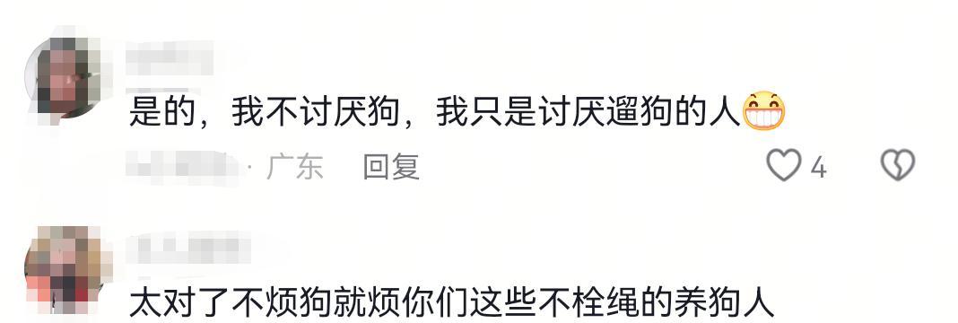 未牵绳小狗扑男子腿被踢开，狗主人不道歉，怒斥:我家狗又不咬人  第7张