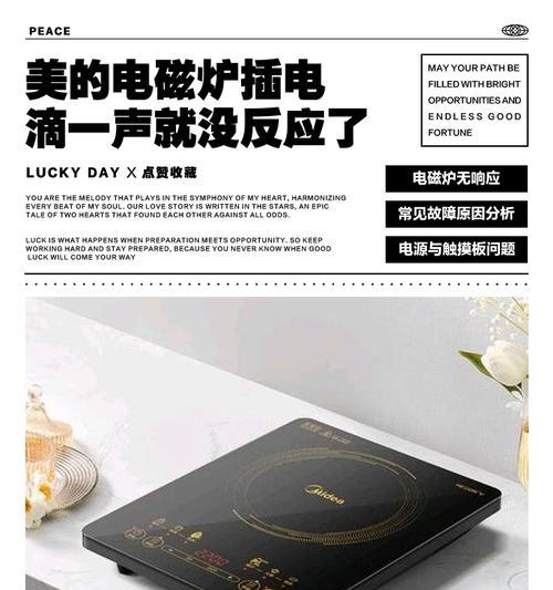 电磁炉插电跳闸原因分析与解决方法（揭开电磁炉跳闸的神秘面纱）  第2张