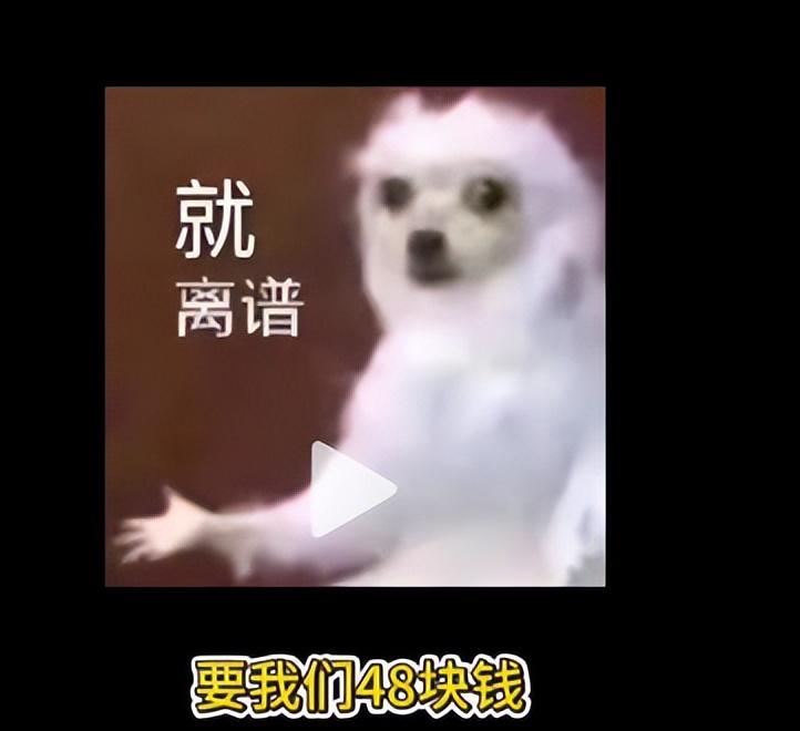 女孩曝景德镇出租车宰客，司机辱骂还抢手机，报警后态度更恶劣  第6张