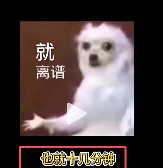 女孩曝景德镇出租车宰客，司机辱骂还抢手机，报警后态度更恶劣  第7张