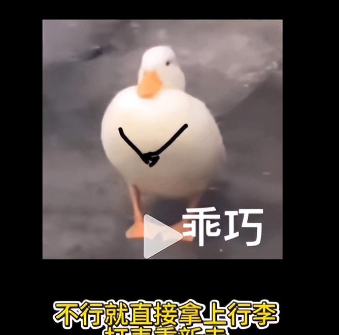 女孩曝景德镇出租车宰客，司机辱骂还抢手机，报警后态度更恶劣  第12张