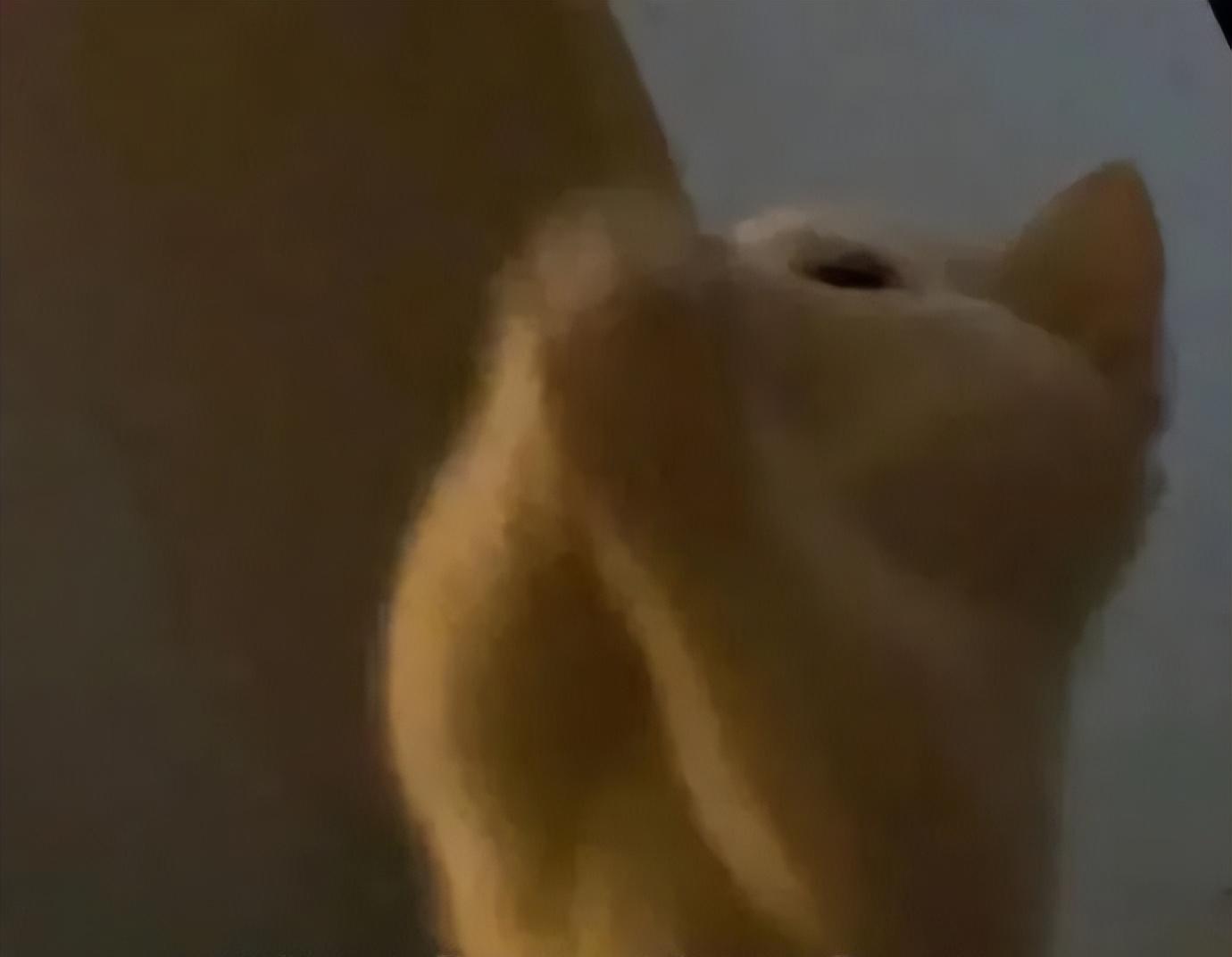 1号台风最消息！深圳降温在即，“小冰人”回归时间确定，最新天气预报  第5张