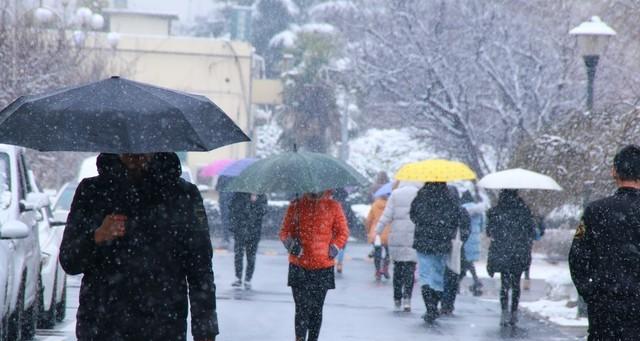 本轮天气“靶心”清晰！北方大雪南方大雨，大风同步登场  第7张